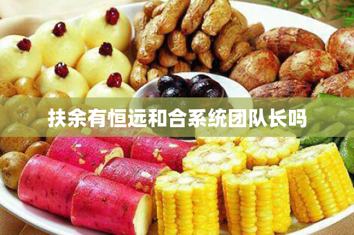 扶余有恒远和合系统团队长吗