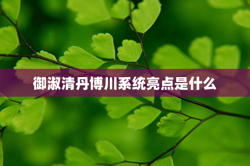 御淑清丹博川系统亮点是什么
