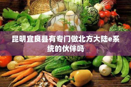 昆明宜良县有专门做北方大陆e系统的伙伴吗
