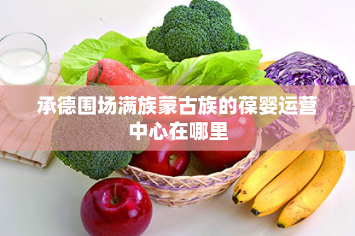 承德围场满族蒙古族的葆婴运营中心在哪里