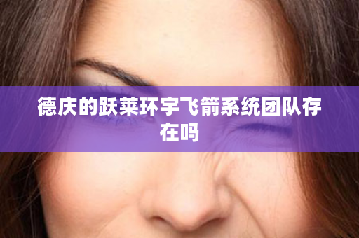 德庆的跃莱环宇飞箭系统团队存在吗