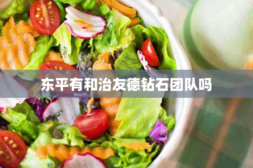 东平有和治友德钻石团队吗