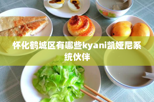 怀化鹤城区有哪些kyani凯娅尼系统伙伴
