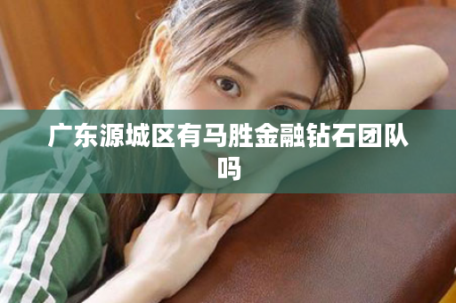 广东源城区有马胜金融钻石团队吗