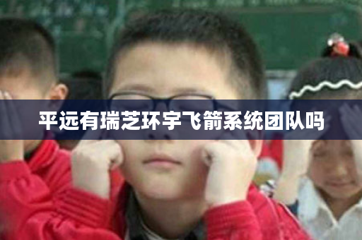 平远有瑞芝环宇飞箭系统团队吗