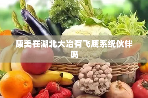 康美在湖北大冶有飞鹰系统伙伴吗