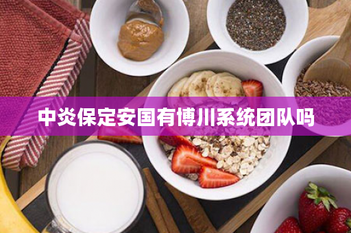 中炎保定安国有博川系统团队吗