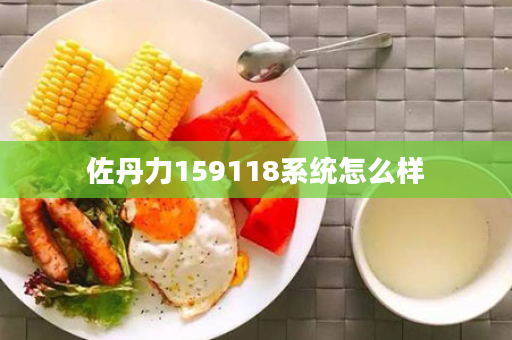 佐丹力159118系统怎么样