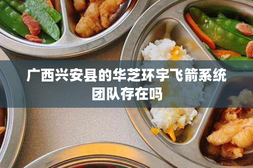 广西兴安县的华芝环宇飞箭系统团队存在吗