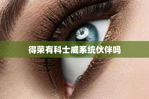 得荣有科士威系统伙伴吗