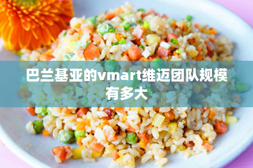 巴兰基亚的vmart维迈团队规模有多大