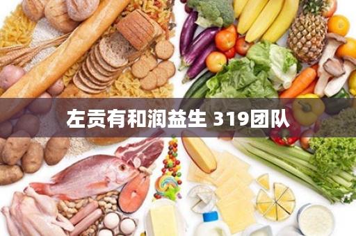 左贡有和润益生 319团队