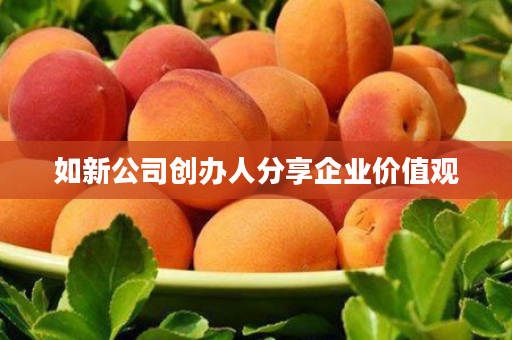 如新公司创办人分享企业价值观