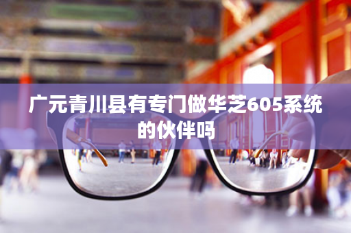 广元青川县有专门做华芝605系统的伙伴吗