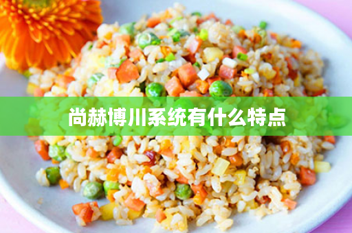 尚赫博川系统有什么特点