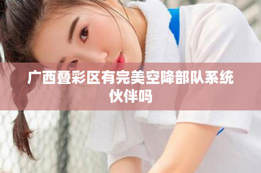 广西叠彩区有完美空降部队系统伙伴吗