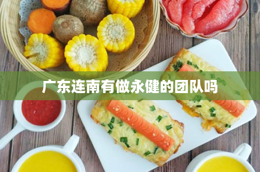 广东连南有做永健的团队吗