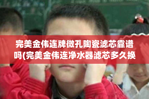 完美金伟连牌微孔陶瓷滤芯靠谱吗(完美金伟连净水器滤芯多久换一次)
