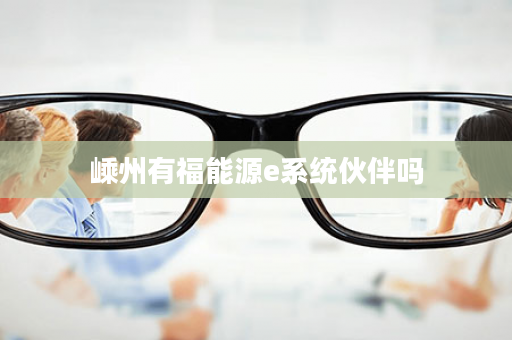 嵊州有福能源e系统伙伴吗