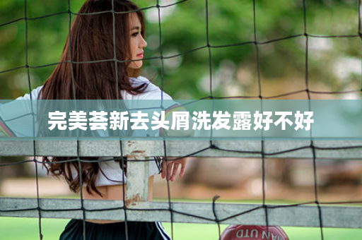 完美荟新去头屑洗发露好不好