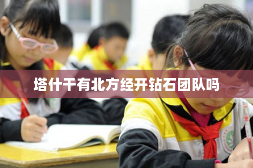 塔什干有北方经开钻石团队吗