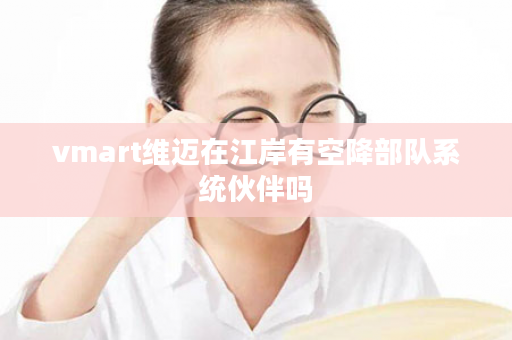 vmart维迈在江岸有空降部队系统伙伴吗