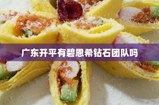 广东开平有碧恩希钻石团队吗