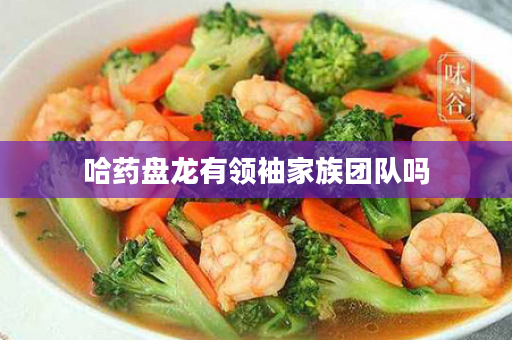 哈药盘龙有领袖家族团队吗