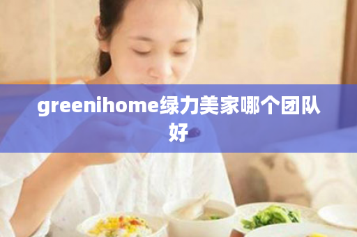 greenihome绿力美家哪个团队好