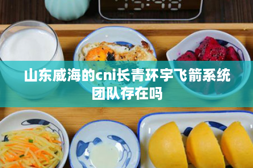 山东威海的cni长青环宇飞箭系统团队存在吗