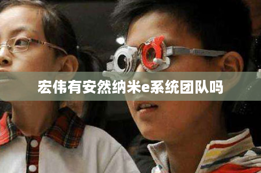 宏伟有安然纳米e系统团队吗