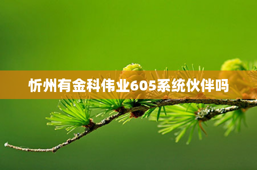 忻州有金科伟业605系统伙伴吗