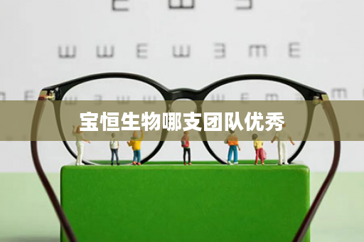 宝恒生物哪支团队优秀