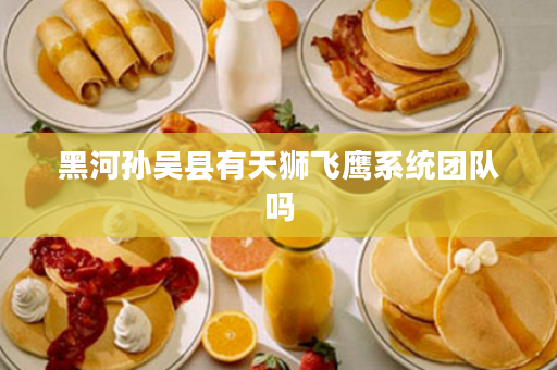 黑河孙吴县有天狮飞鹰系统团队吗