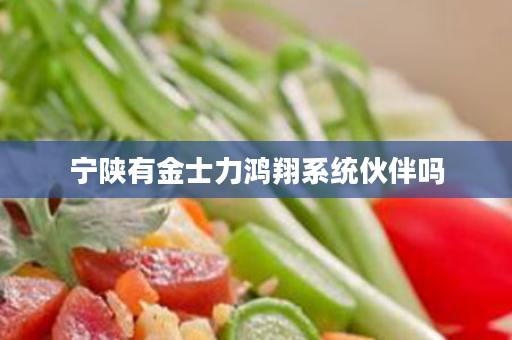 宁陕有金士力鸿翔系统伙伴吗