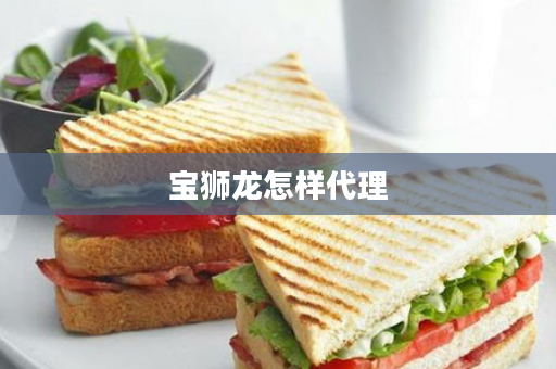 宝狮龙怎样代理