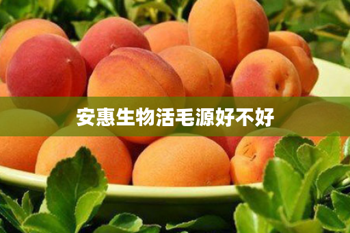 安惠生物活毛源好不好