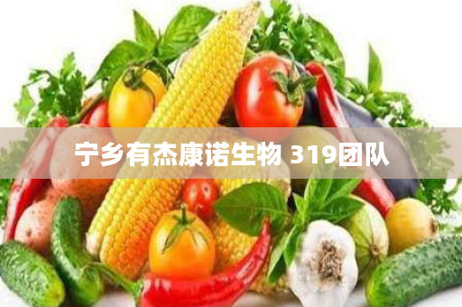 宁乡有杰康诺生物 319团队