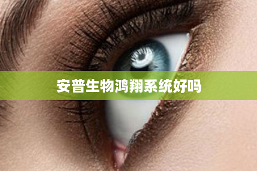 安普生物鸿翔系统好吗