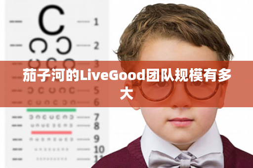 茄子河的LiveGood团队规模有多大