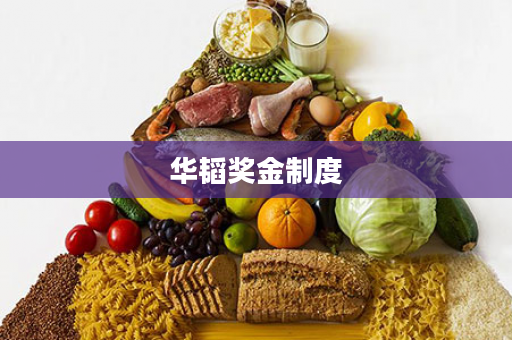 华韬奖金制度