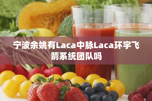 宁波余姚有Laca中脉Laca环宇飞箭系统团队吗