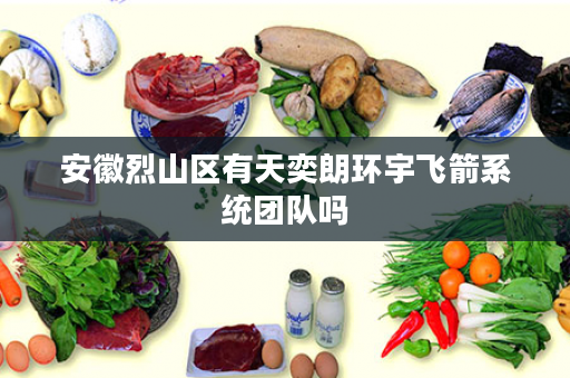 安徽烈山区有天奕朗环宇飞箭系统团队吗
