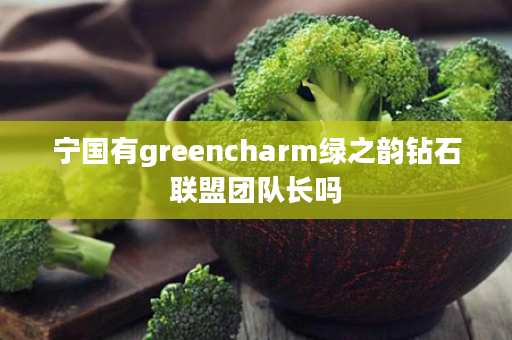 宁国有greencharm绿之韵钻石联盟团队长吗