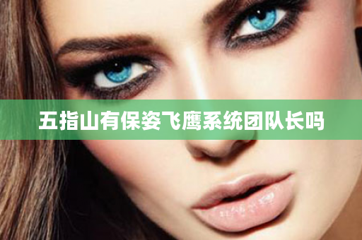 五指山有保姿飞鹰系统团队长吗