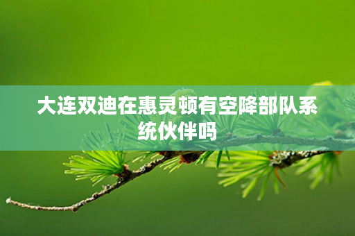 大连双迪在惠灵顿有空降部队系统伙伴吗