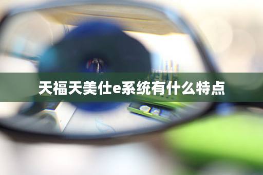 天福天美仕e系统有什么特点