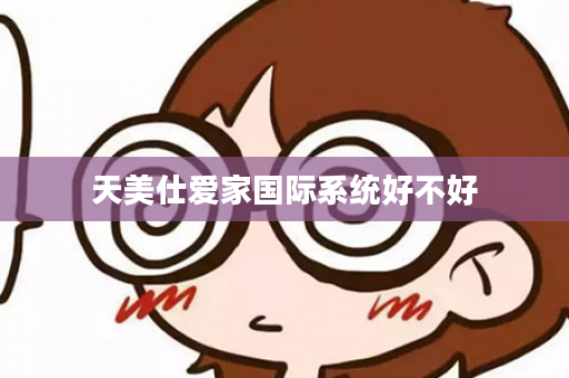 天美仕爱家国际系统好不好