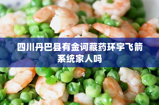 四川丹巴县有金诃藏药环宇飞箭系统家人吗