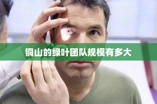 铜山的绿叶团队规模有多大
